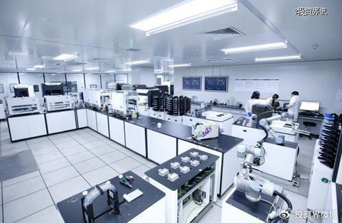 博瑞迪完成2.5億元B輪融資，專注生物育種技術(shù)服務(wù)，引領(lǐng)農(nóng)業(yè)科技新浪潮